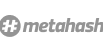 Logo_metahash